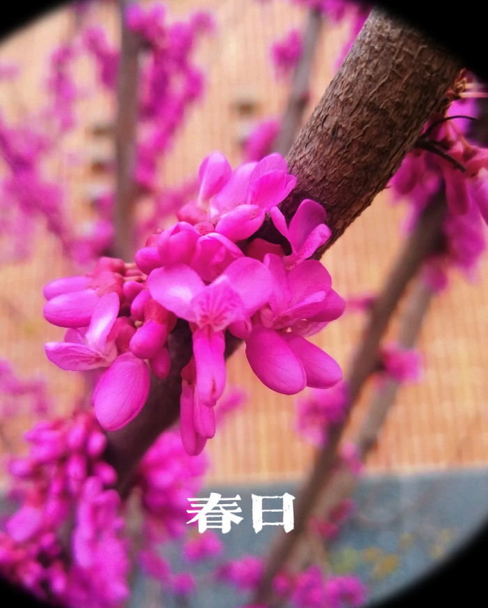 教務(wù)處：無(wú)奮斗不青春(圖2)