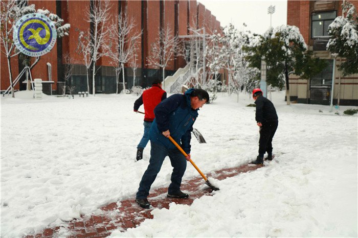 梅雪盼冬來，微笑迎春歸(圖11)