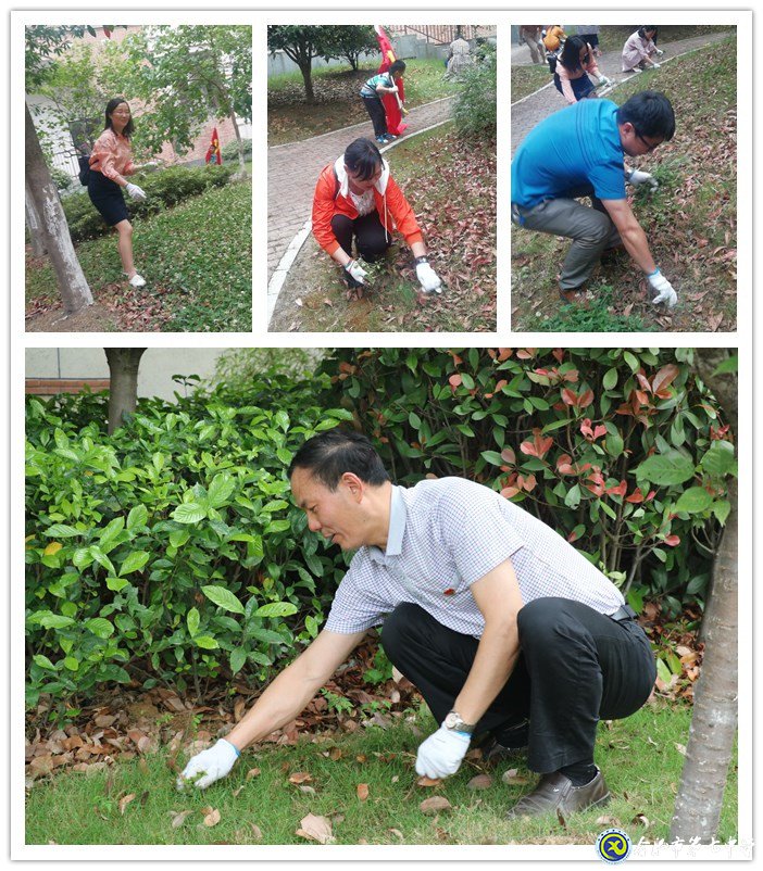 齊心除草整庭院  黨領(lǐng)我行再奮進(圖2)