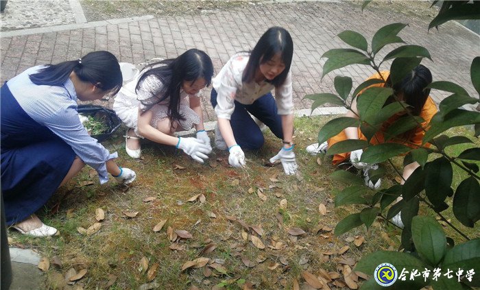 齊心除草整庭院  黨領(lǐng)我行再奮進(圖4)