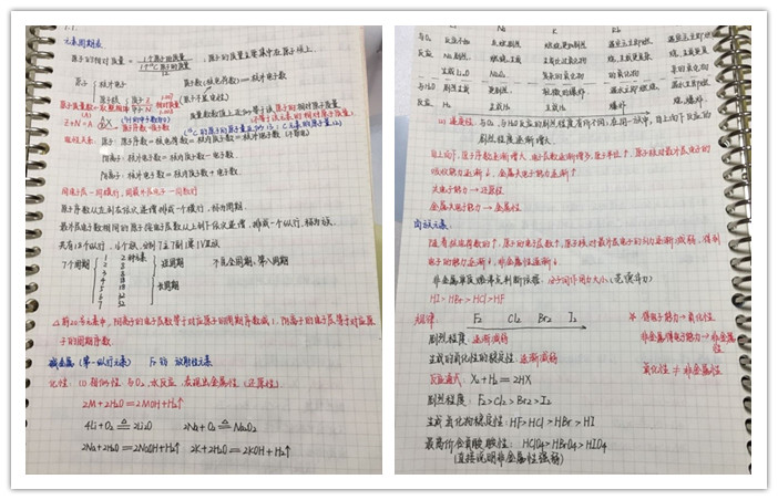 耕耘不輟秉初心  智慧領(lǐng)航顯擔(dān)當(dāng)(圖4)