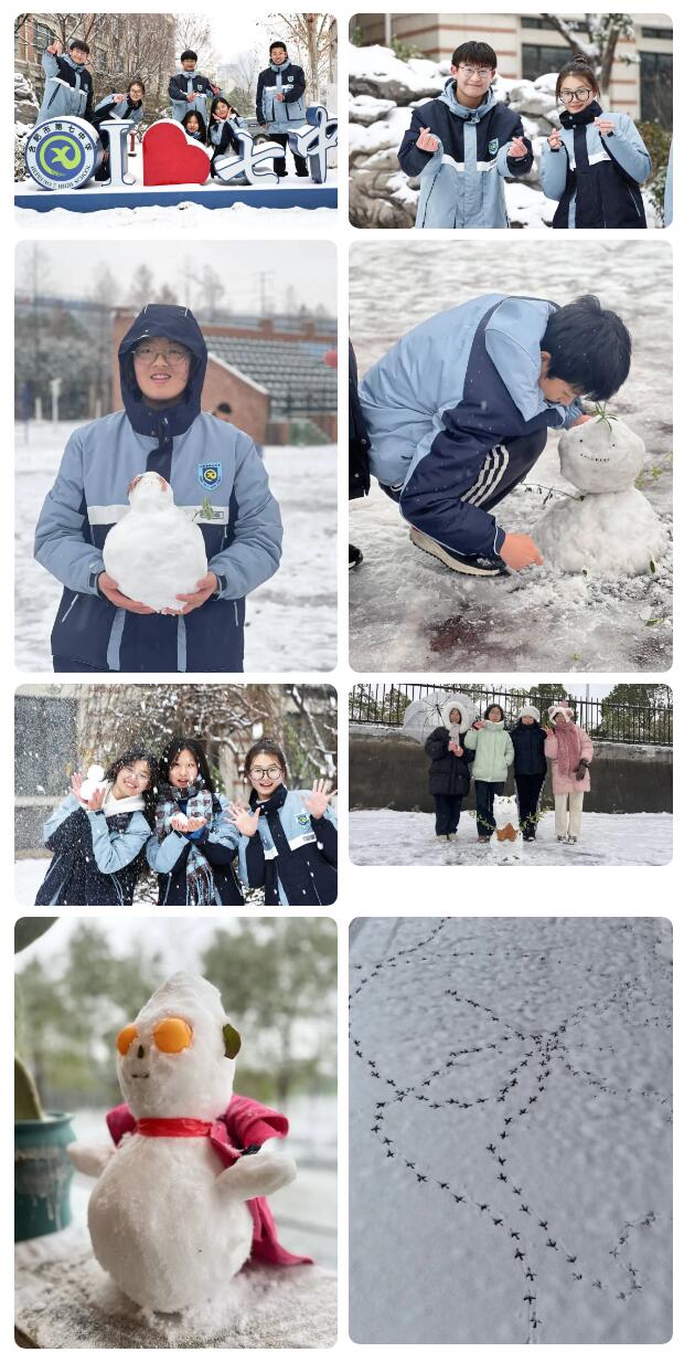 寶藏學校：每個人都期待，雪花所帶來的“活潑潑”的生命(圖9)