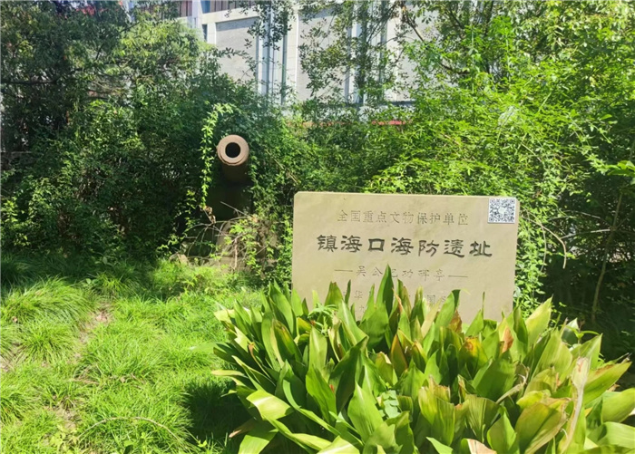 “主動融入長三角，合肥七中這樣做”之四：知己不足而后進(jìn)，望山遠(yuǎn)岐而前行(圖5)